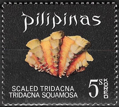 1970 Seashells  - Scaled Tridacna (Tridacna squamosa)